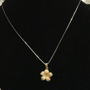 14k Gold Plumeria Pendant with 20” chain.
